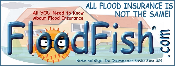 Flood Fish Flood Insurance for NY